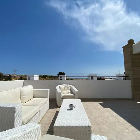 Palms A1 204