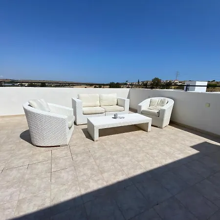 Palms A1 204